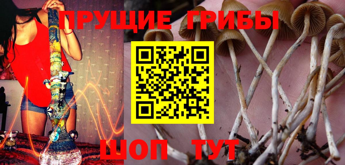 Галлюциногенные грибы Magic Shrooms  Вход с VPN  Тутаев 